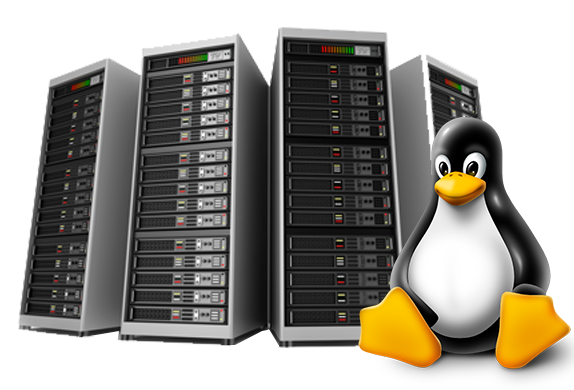 Orissa Web Hosting