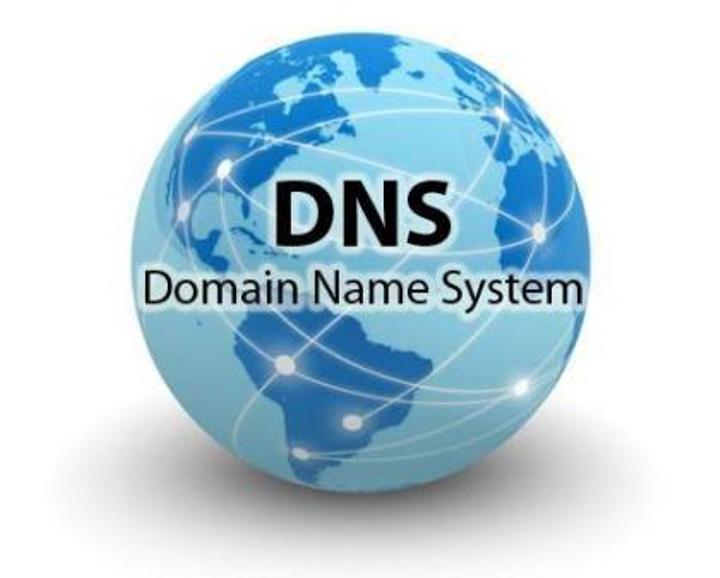 dns lookup