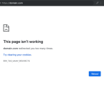 ERR_TOO_MANY_REDIRECTS-error-in-chrome
