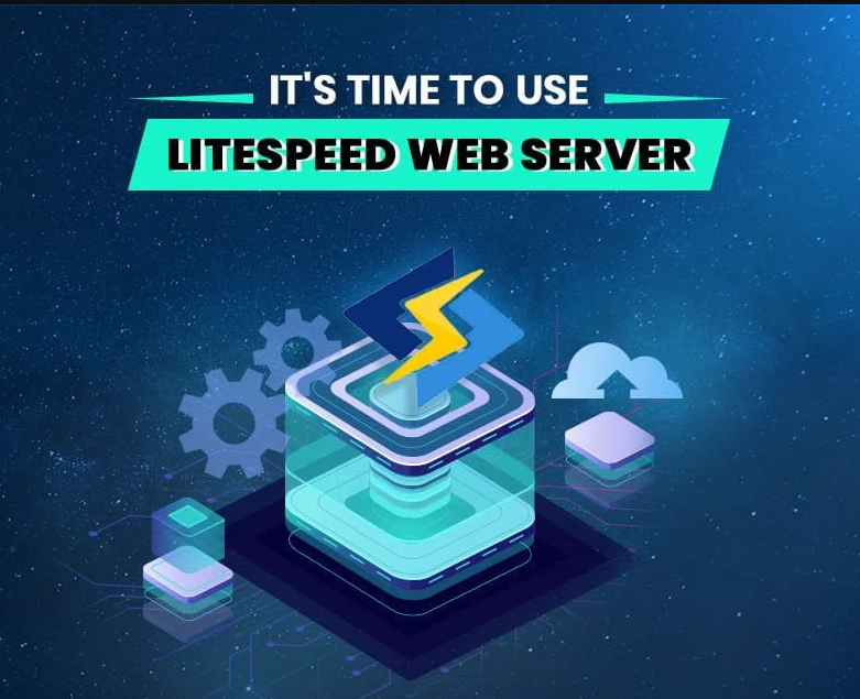 use LSWS