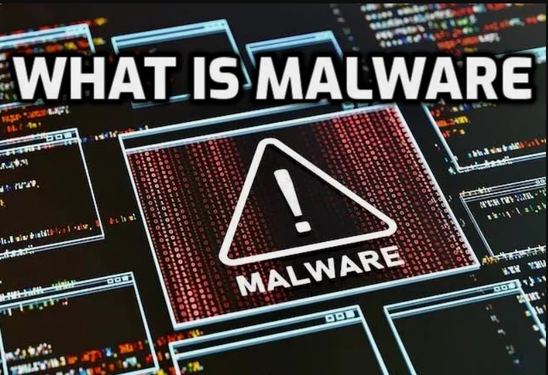 What is malware