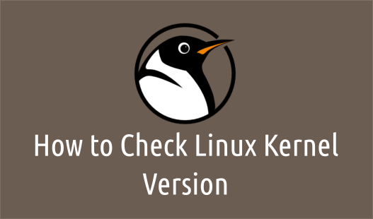 Check the kernel version