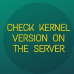 check the kernel version in server