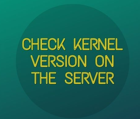 check the kernel version in server