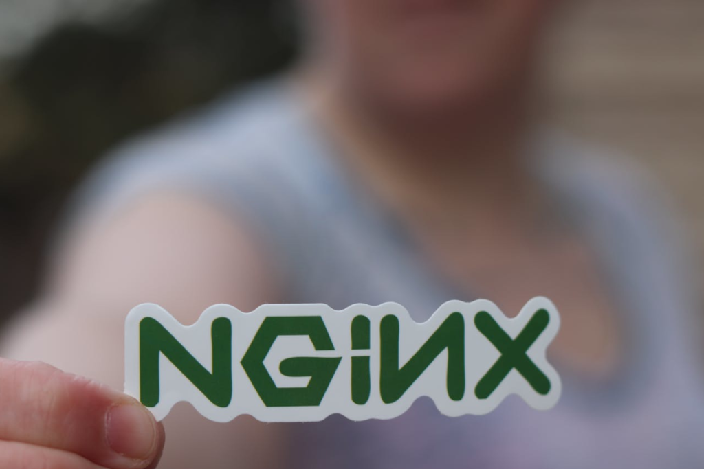 nginix directadmin